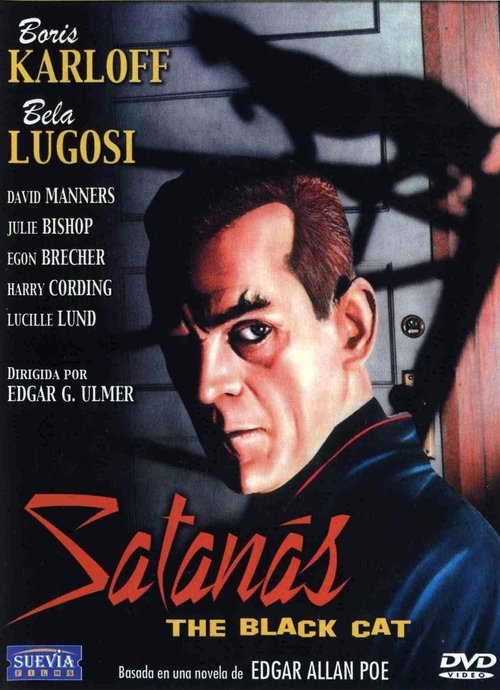 Póster de El gato negro