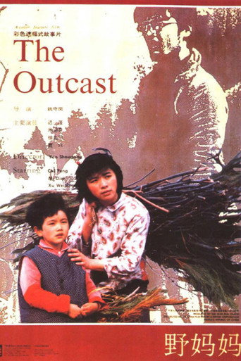 Póster de 野妈妈