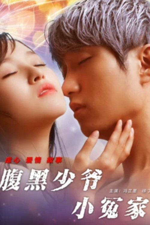 Póster de 腹黑少爷小冤家