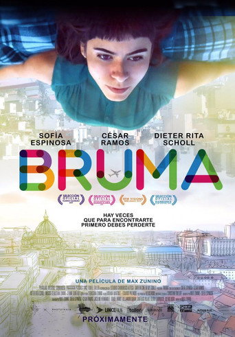 Póster de Bruma