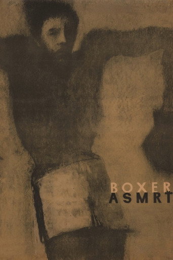 Póster de Boxer a smrť