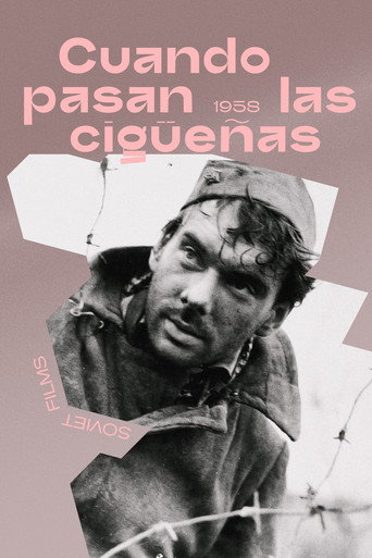 Póster de Летят журавли