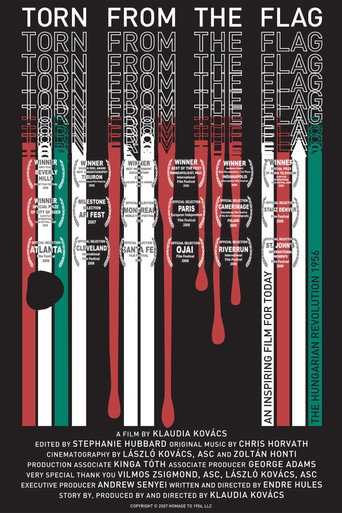 Póster de Torn from the Flag