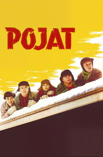 Póster de Pojat