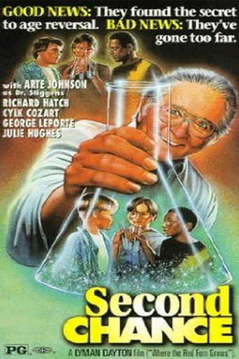 Póster de Second Chance