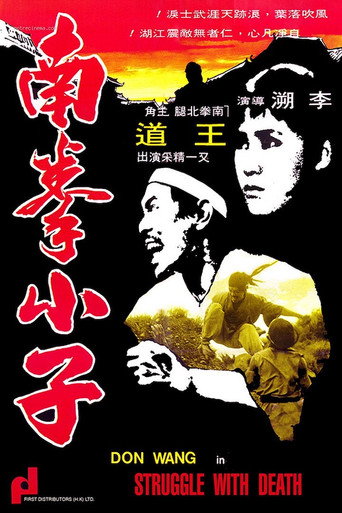Póster de 南拳小子