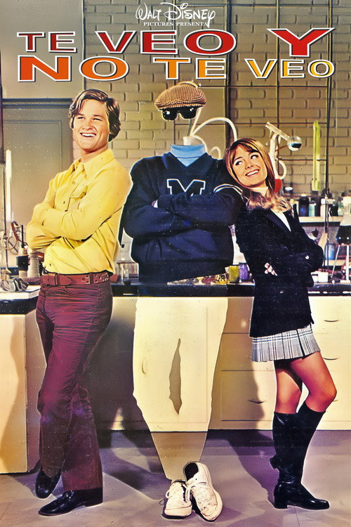 Póster de Te veo y no te veo
