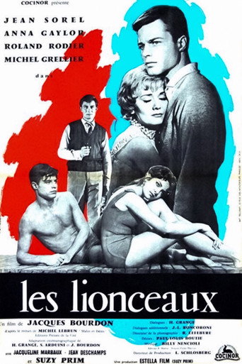 Póster de Les Lionceaux