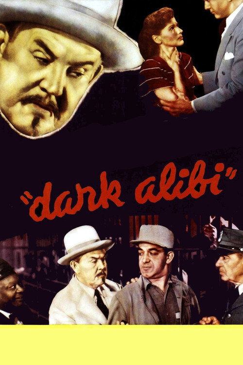 Póster de Dark Alibi