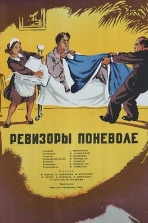 Póster de Ревизоры поневоле