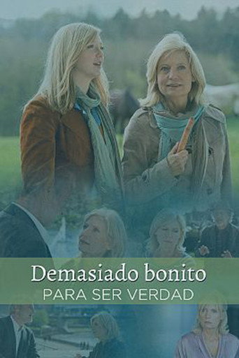 Póster de Zu schön um wahr zu sein