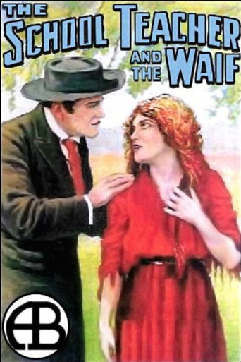 Póster de The School Teacher and the Waif