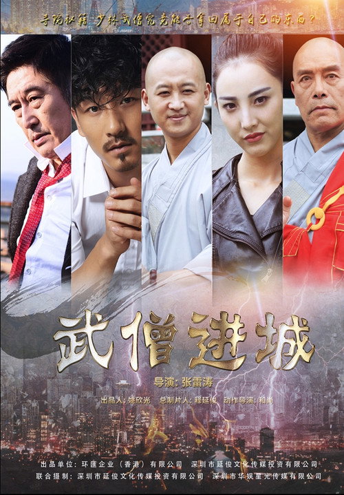 Póster de 武僧进城