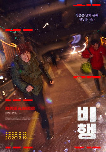 Póster de 비행