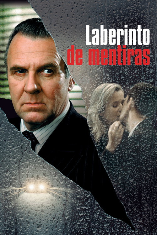 Póster de Separate Lies