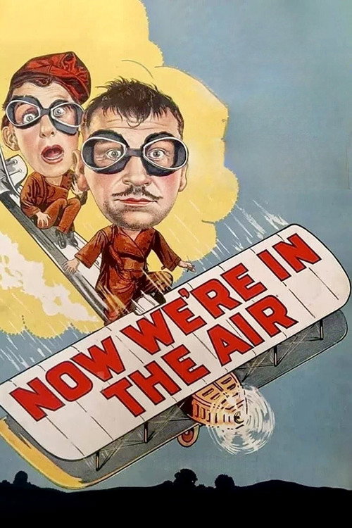 Póster de Now We're in the Air