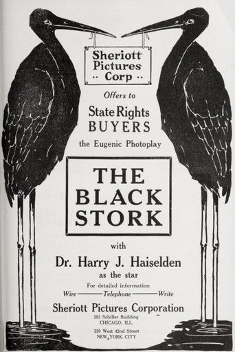 Póster de The Black Stork