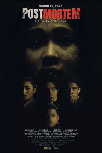 Póster de PostMortem