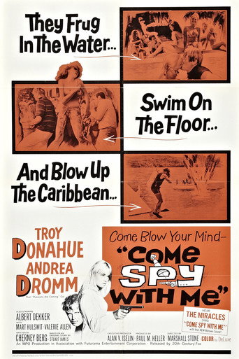 Póster de Come Spy with Me