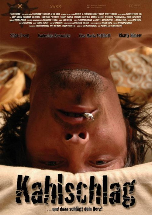 Póster de Kahlschlag