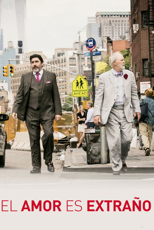 Póster de El amor es extraño