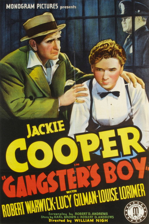 Póster de Gangster's Boy