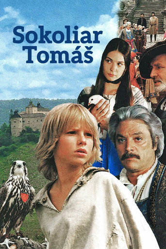 Póster de Sokoliar Tomáš