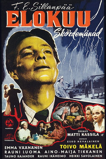 Póster de Elokuu