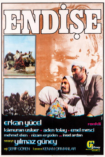 Póster de Endişe