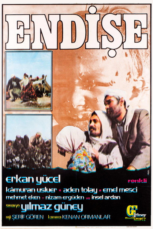Póster de Endişe