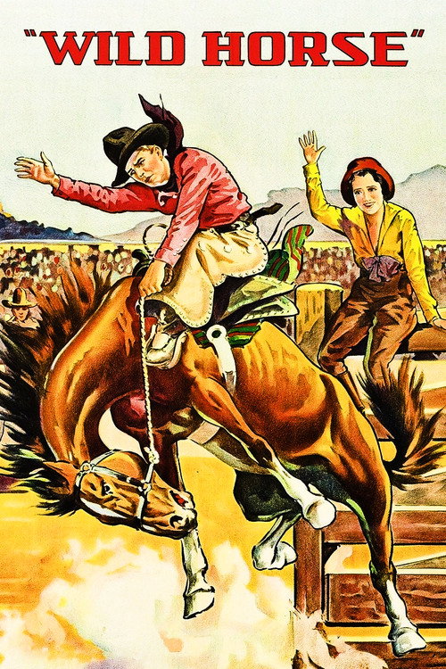 Póster de Wild Horse