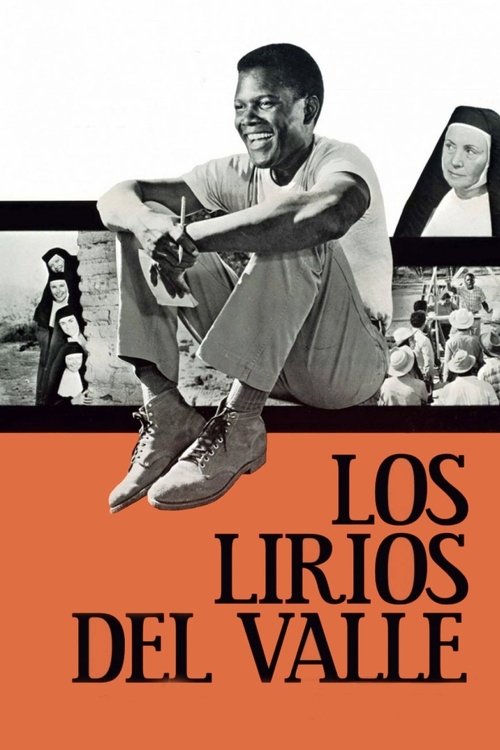 Póster de Una voz en las sombras