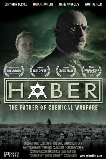 Póster de Haber