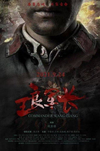 Póster de 王良军长