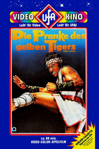 Póster de 森山虎
