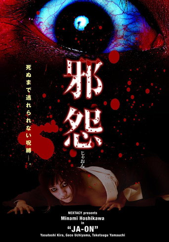 Póster de 邪怨