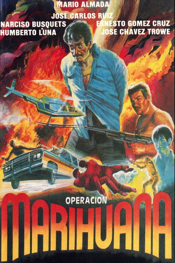Póster de Operacion marihuana