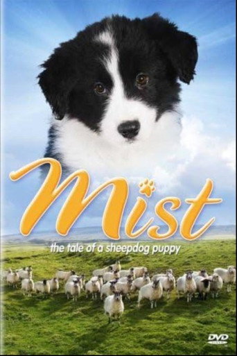Póster de Mist: The Tale of a Sheepdog Puppy