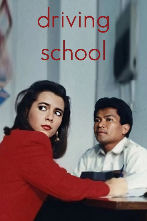Póster de Driving School