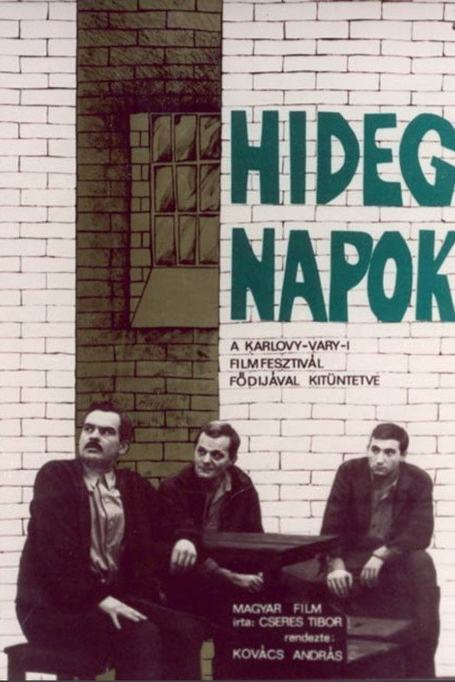 Póster de Hideg napok