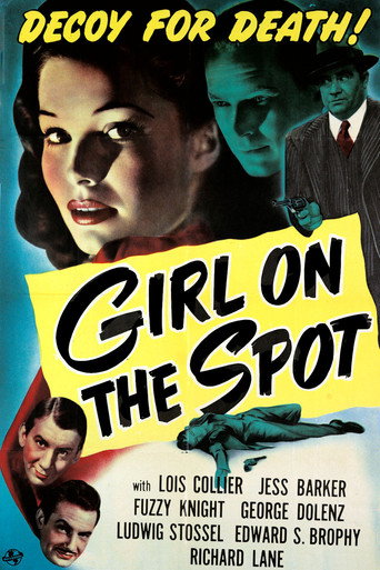 Póster de Girl on the Spot