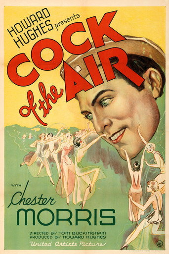 Póster de Cock of the Air