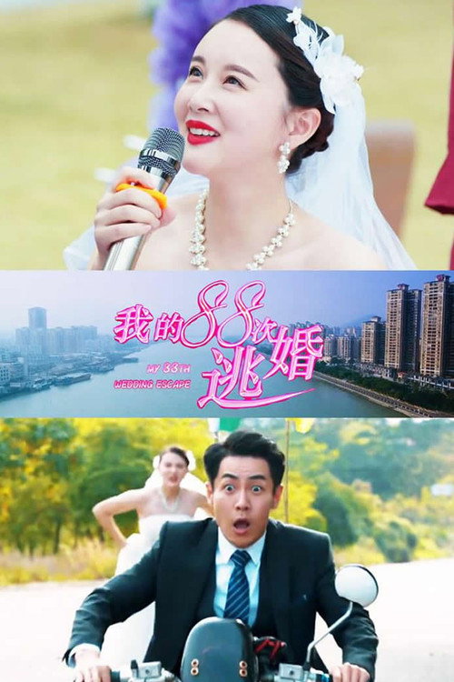 Póster de 我的88次逃婚
