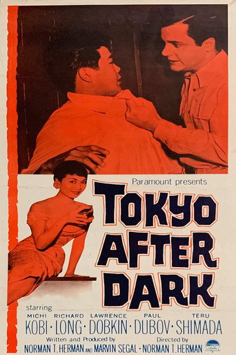Póster de Tokyo After Dark