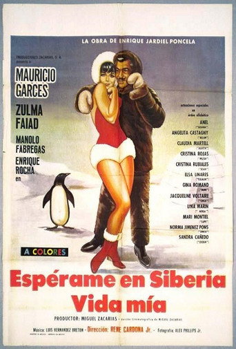 Póster de Espérame en Siberia, vida mía