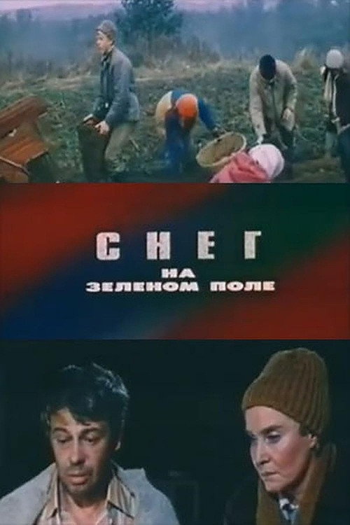 Póster de Снег на зелёном поле