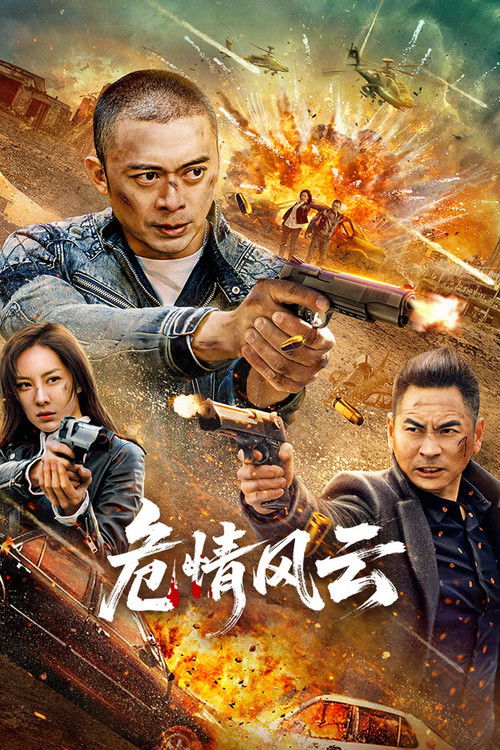 Póster de 危情风云
