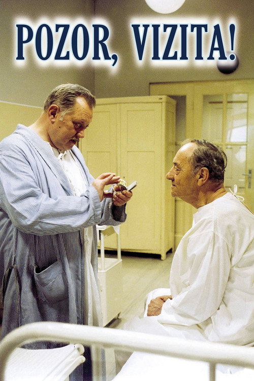 Póster de Pozor, vizita!
