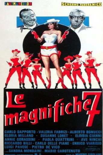 Póster de Le magnifiche 7