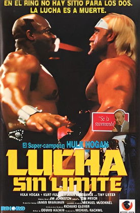 Póster de Lucha sin límite